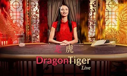 nn777 Live Casino